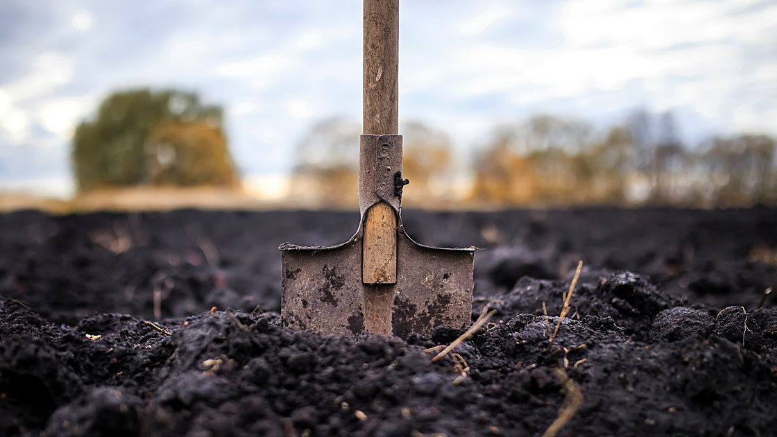 Shop compost and soil in Cape Town Cape Garden Online