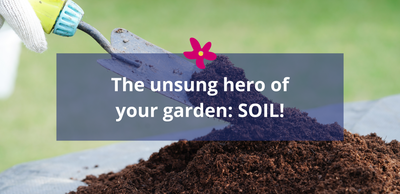 The unsung hero of your garden: SOIL!