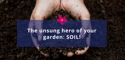 The unsung hero of your garden: SOIL!