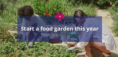 Start a food garden this year