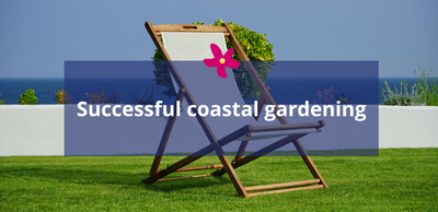 Successful coastal gardening