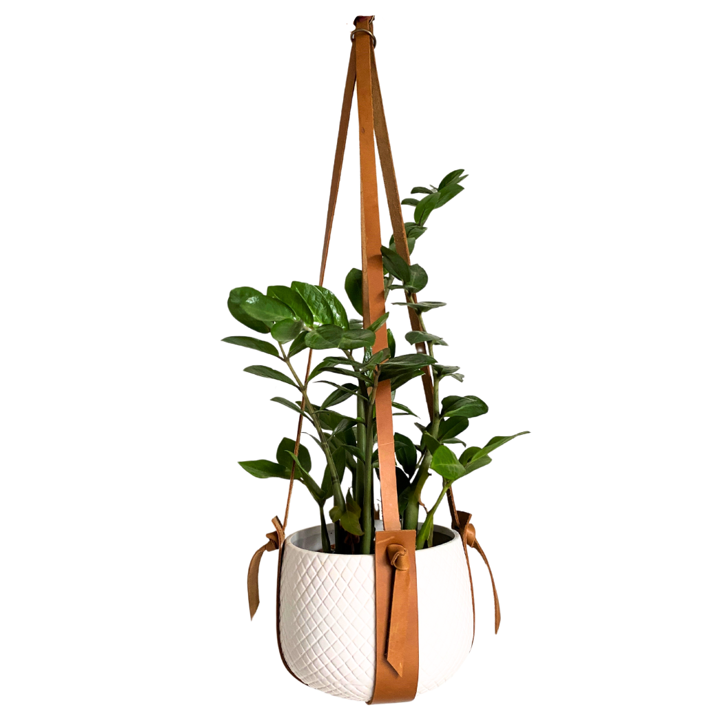 leather strap hanging planter Leather Plant Hanger (Knotted Strap) – Cape Garden Online