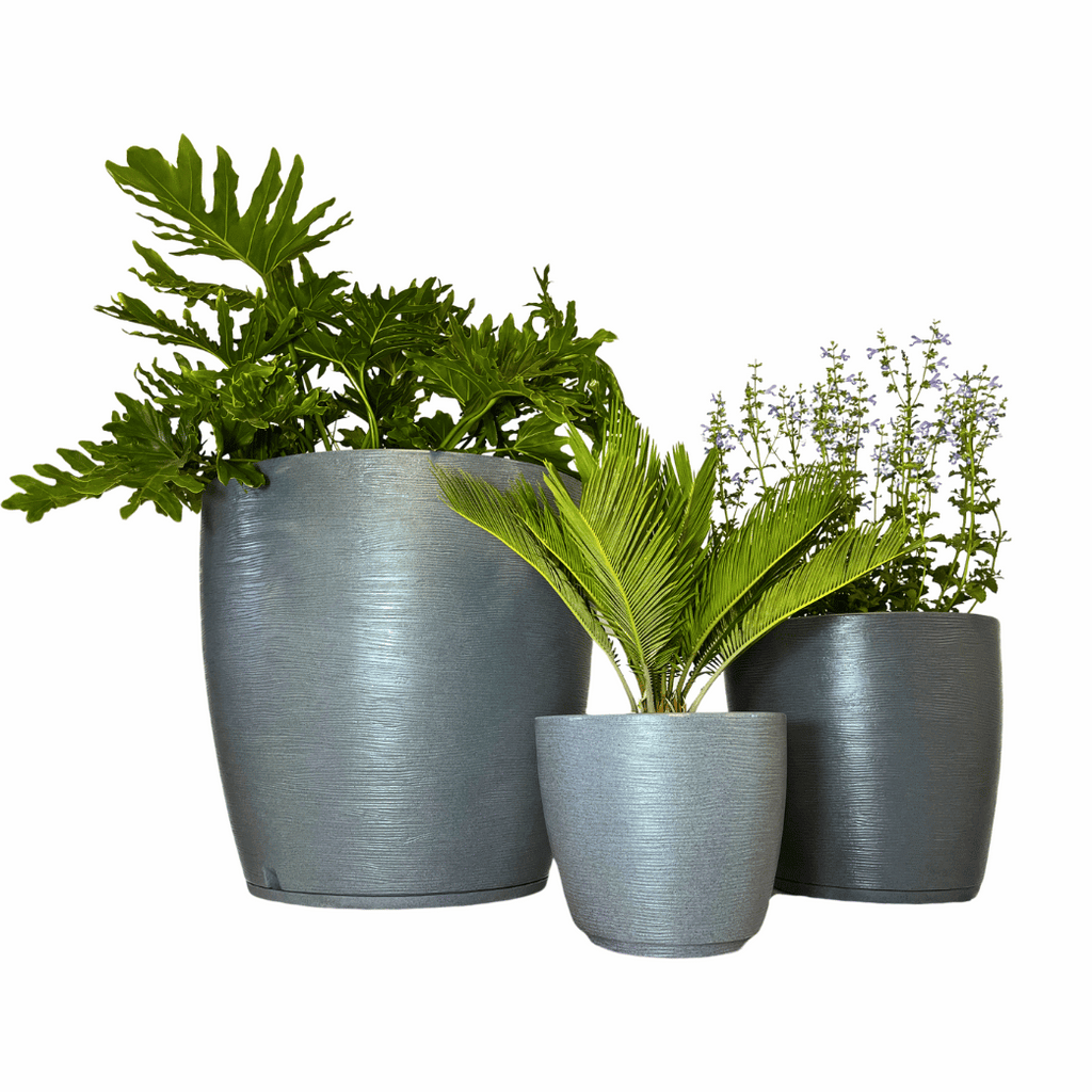 Graffiti Grey Round Planter Cape Town
