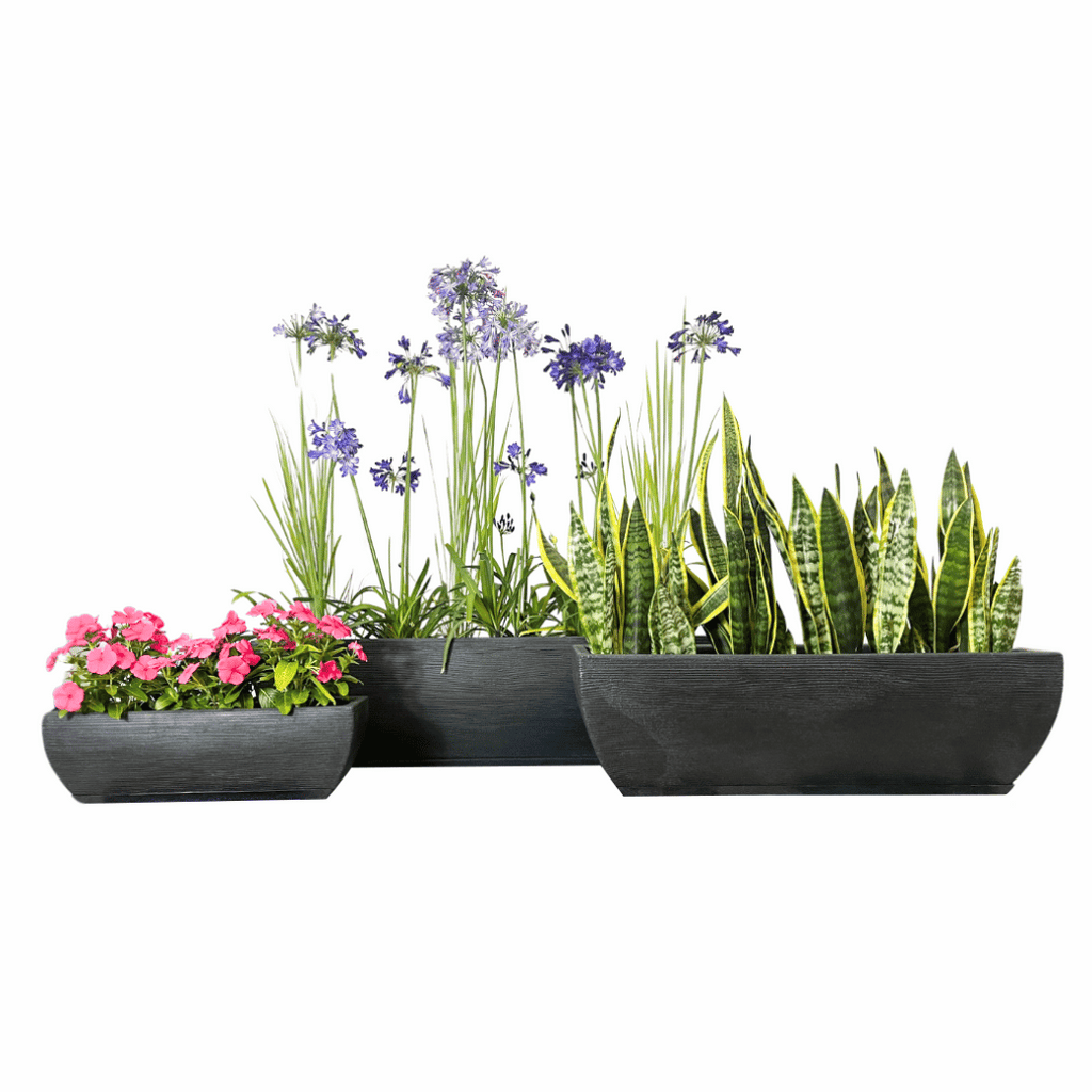 Floridis-