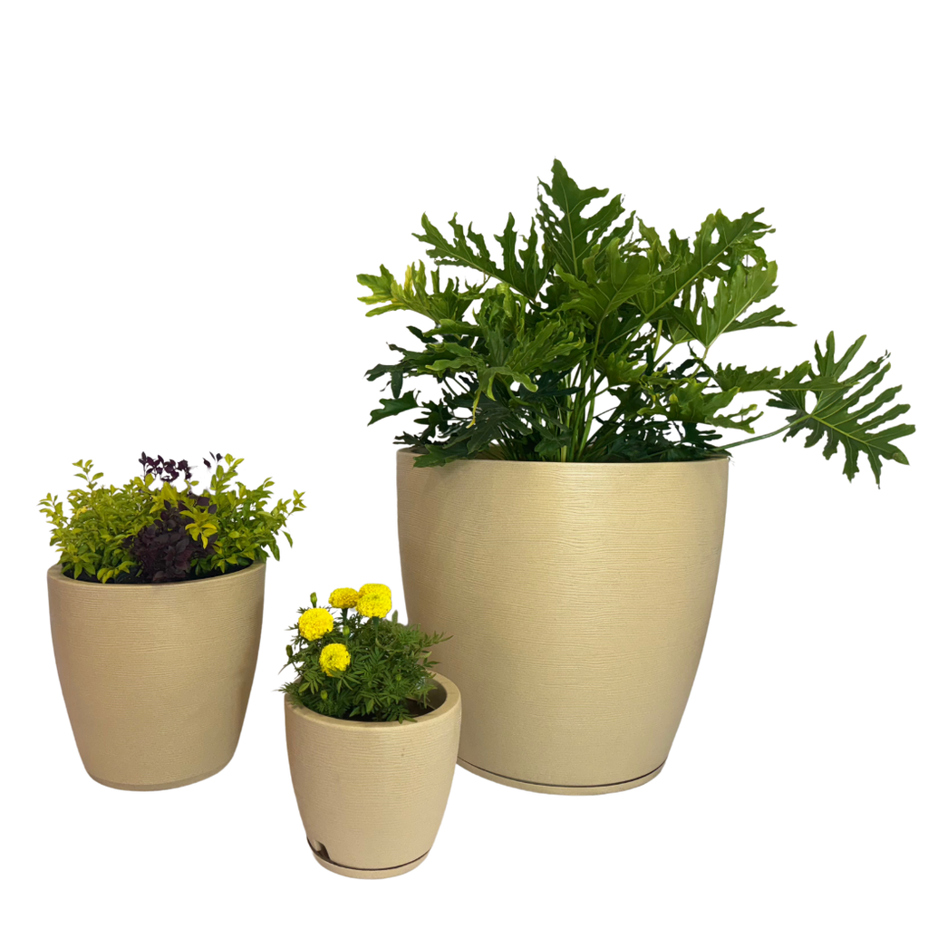 Floridis Amsterdam Graffiti Beige Pots | Designer Planters Cape