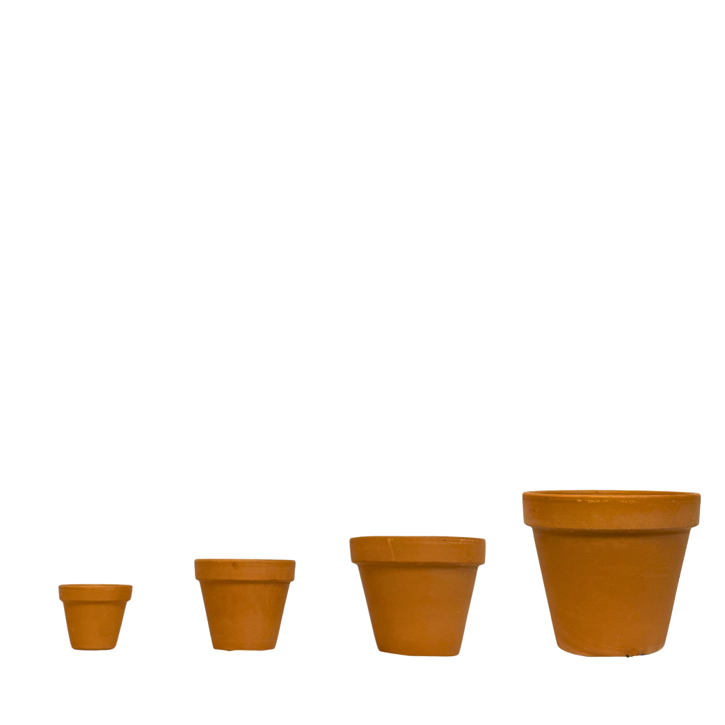 Standard Pot Shop terracotta or clay pots for plants in Cape Town – Cape Garden Online