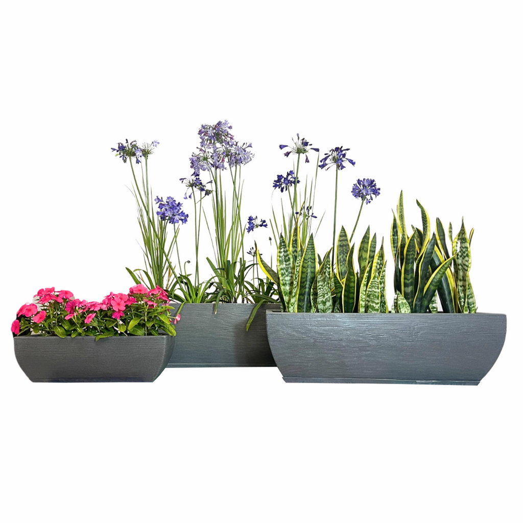 Floridis- Amsterda Grafitti Granite Plastic Planter Box – Cape