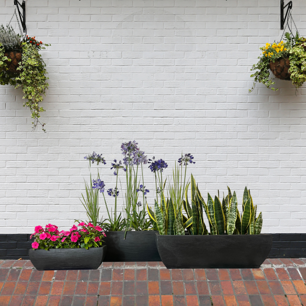 Floridis- Amsterda Grafitti Granite Plastic Planter Box – Cape