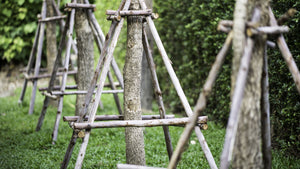 Wooden stakes for Plant support