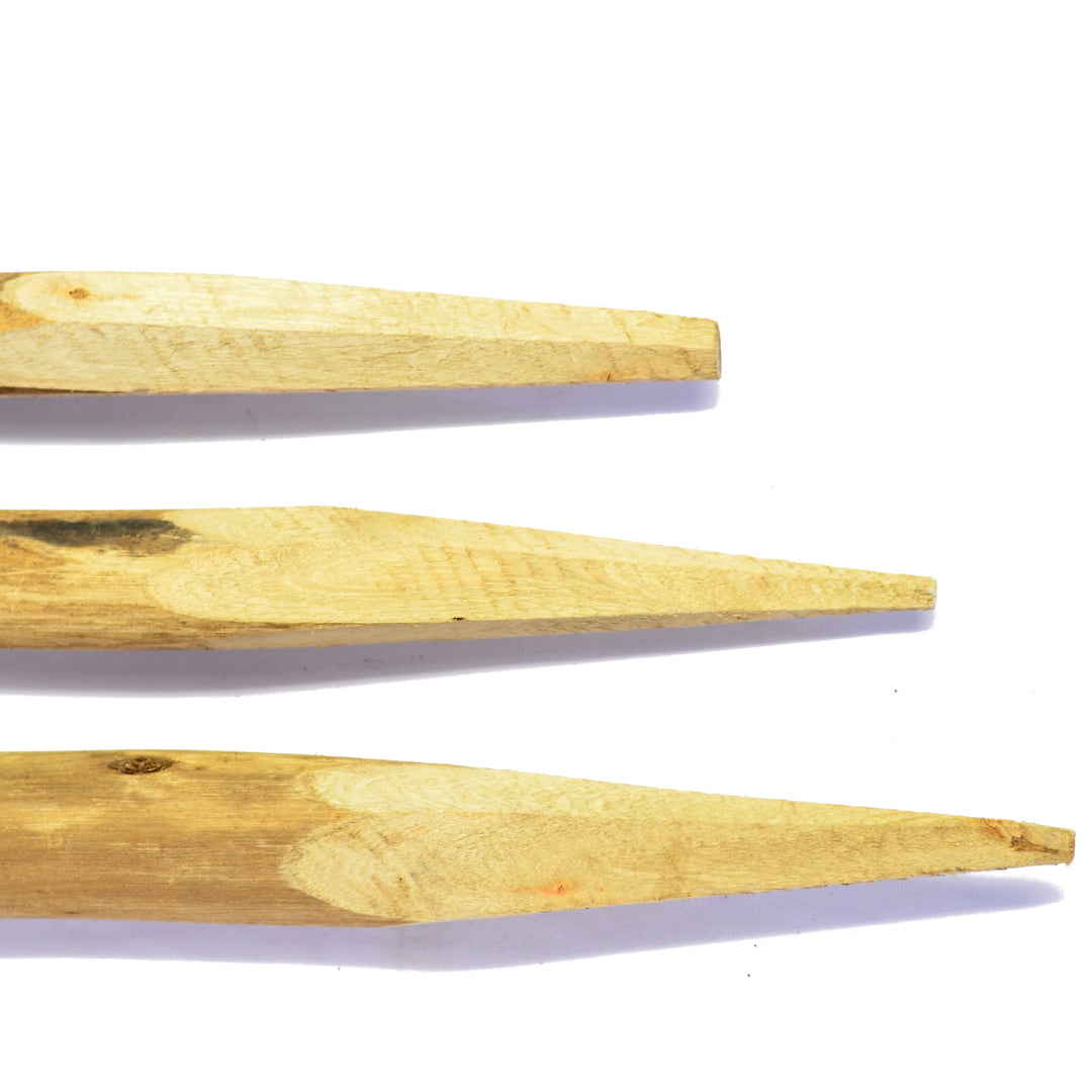 Stake Casino illustratie