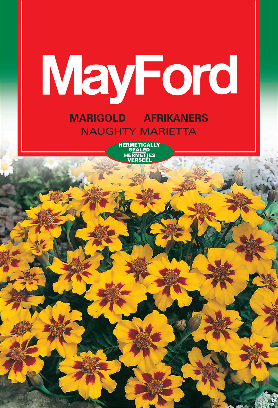 naughty marietta marigold seeds Marigold / Naughty Marietta Seeds – Cape Garden Online