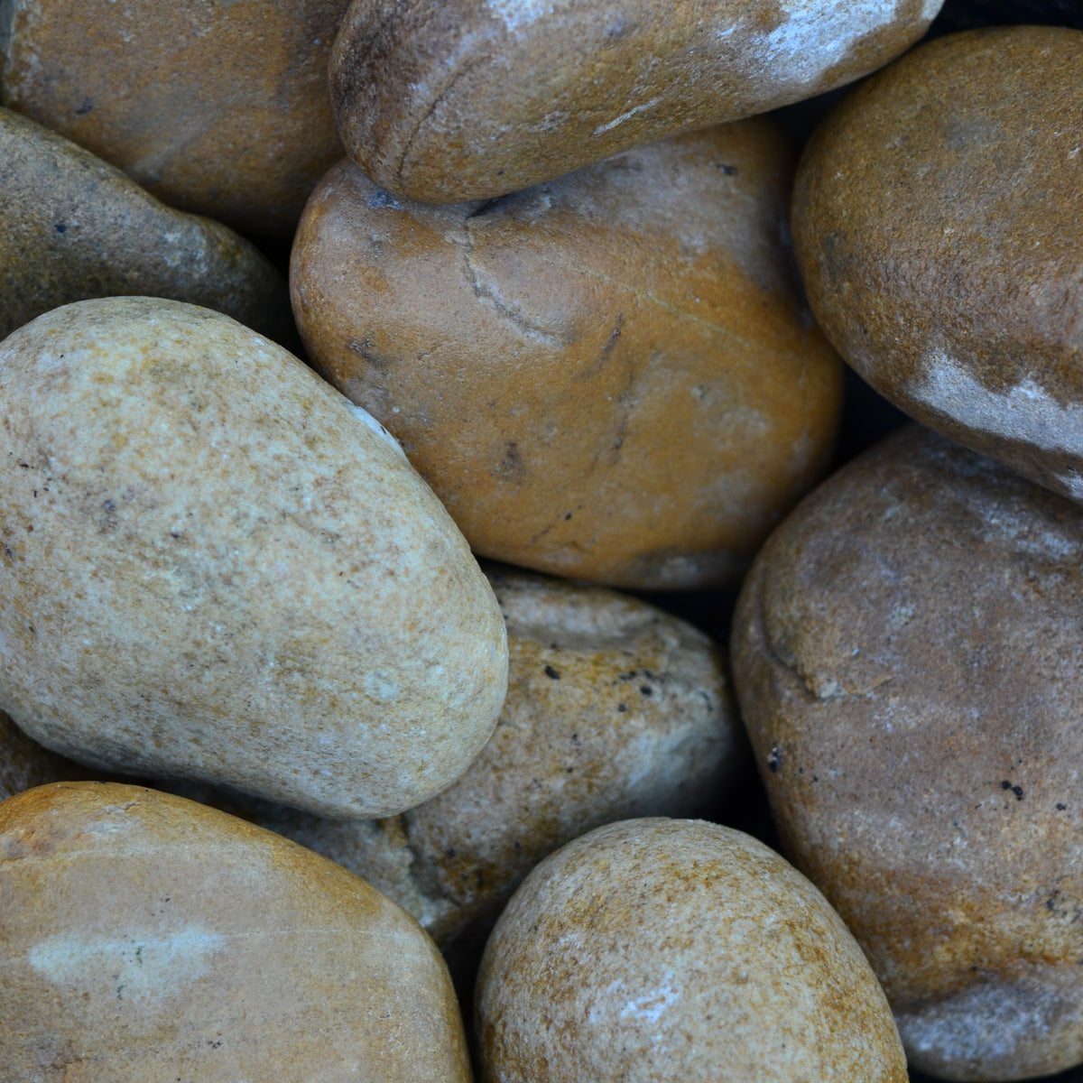 Brown Stones With Ridges Riverstone Brown Stones / Rocks for sale in Cape Town – Cape Garden Online