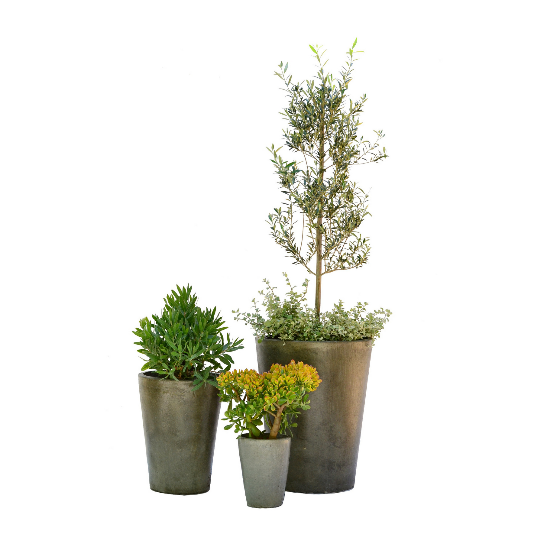 Piza Round Fibre Cement Pot for garden – Cape Garden Online Piza Round Fibre Cement Pot for garden – Cape Garden Online