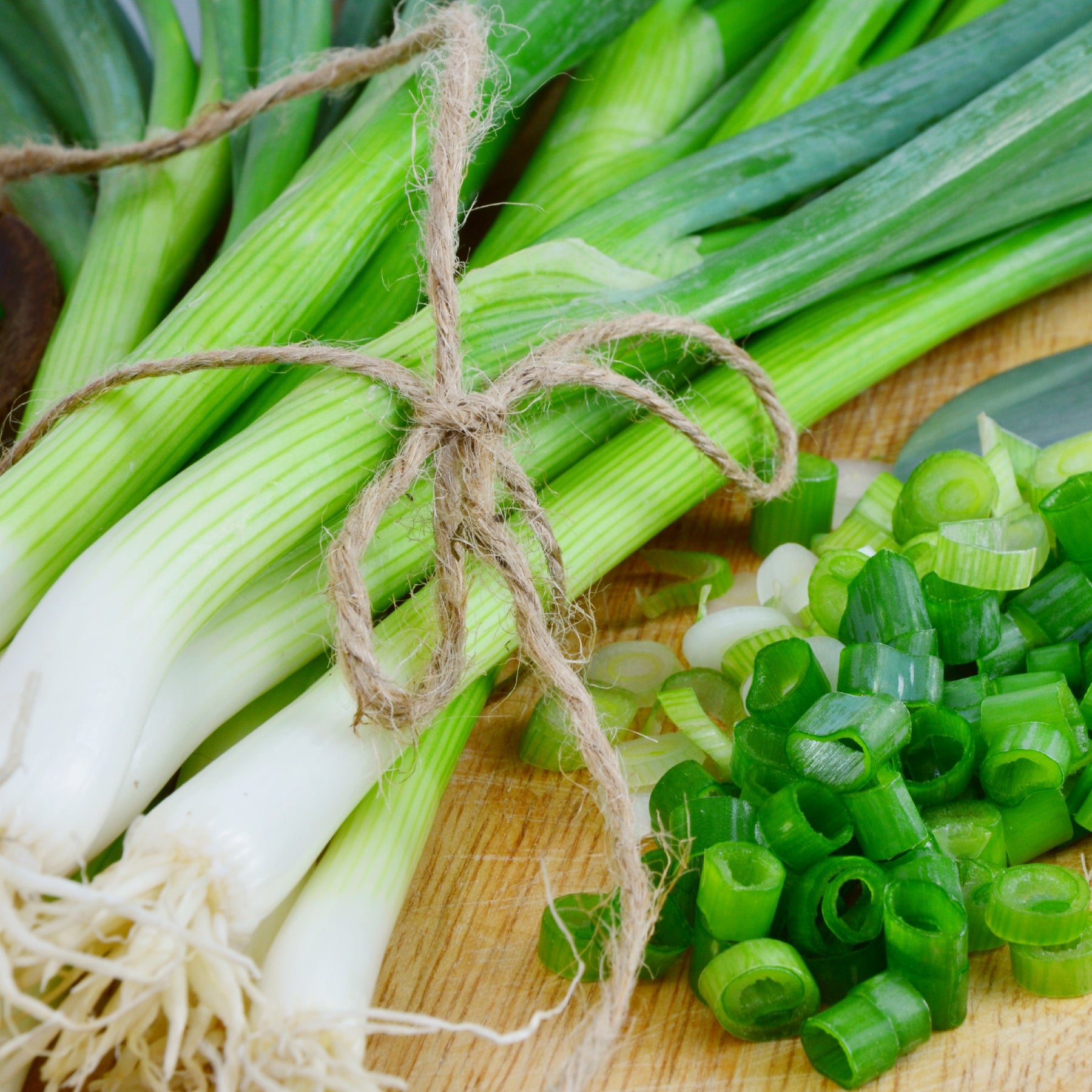 Packing Spring Onion Spring Onion Six Pack – Cape Garden Online