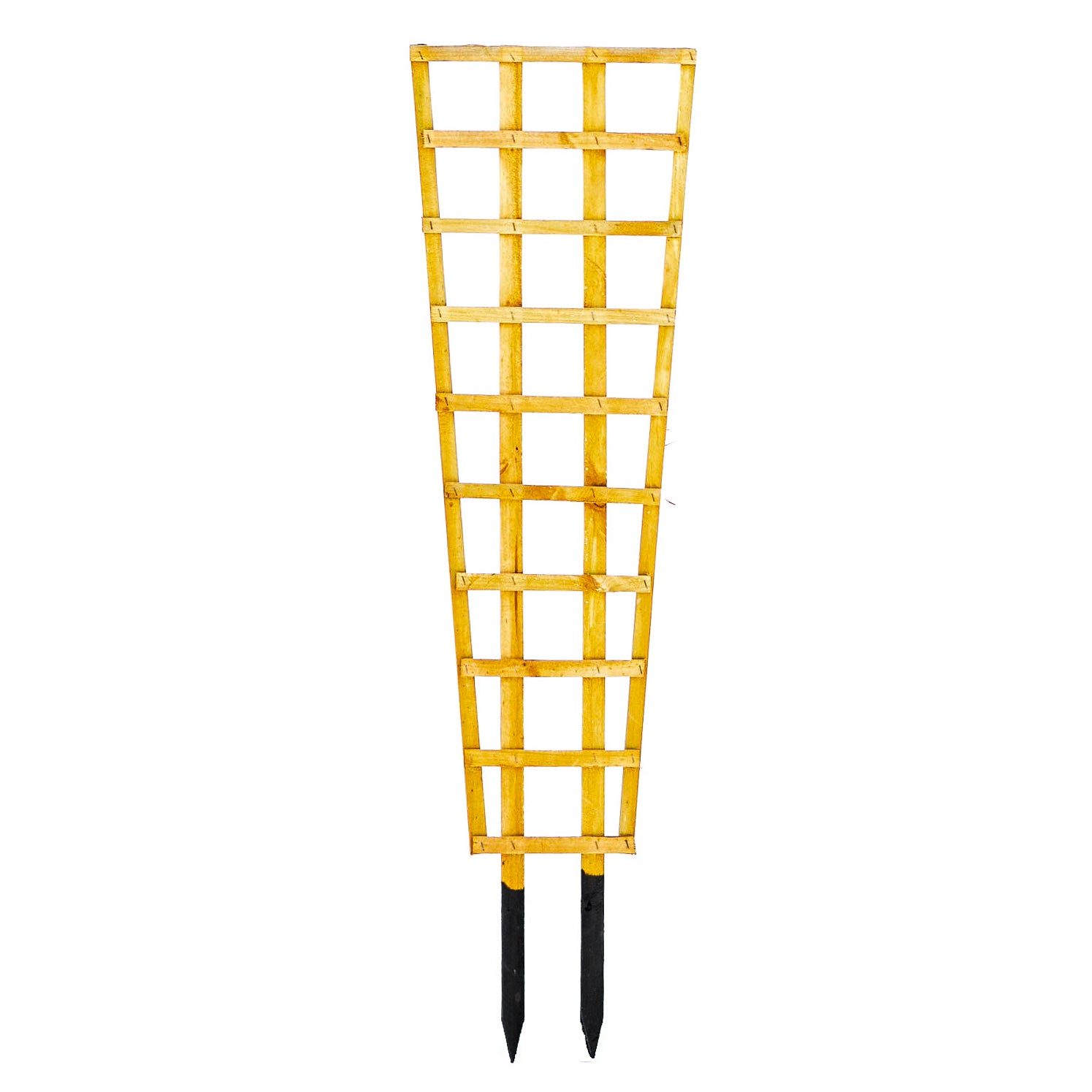 Shop Plant Support items in Cape Town – Cape Garden Online